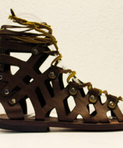 Alternative view of S1009