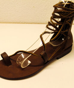 Alternative view of S1011